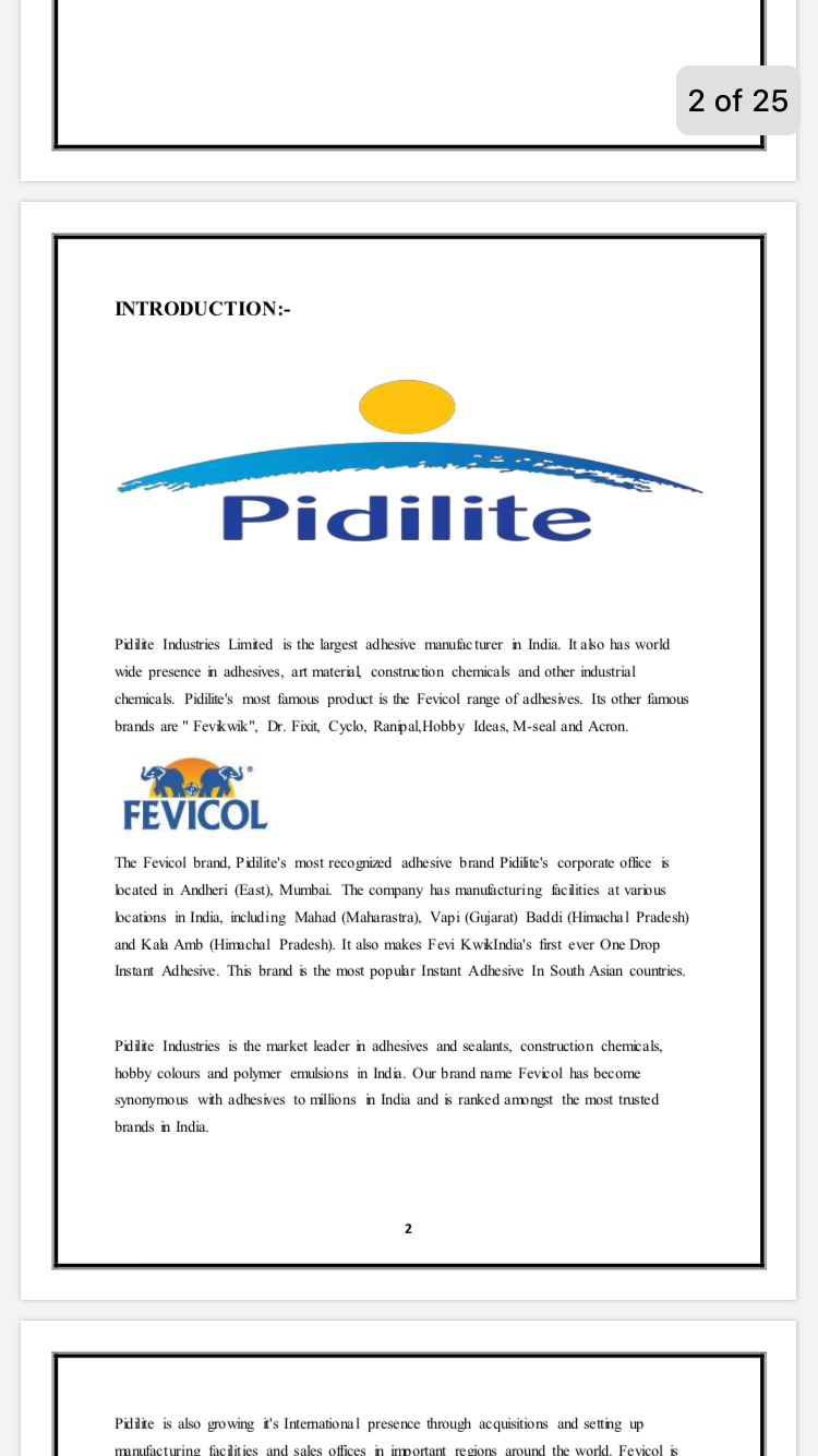 Pidilite-95E738E5-5D97-4F4C-8AA2-147E79BFF512.png